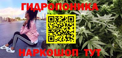 мет Бийск