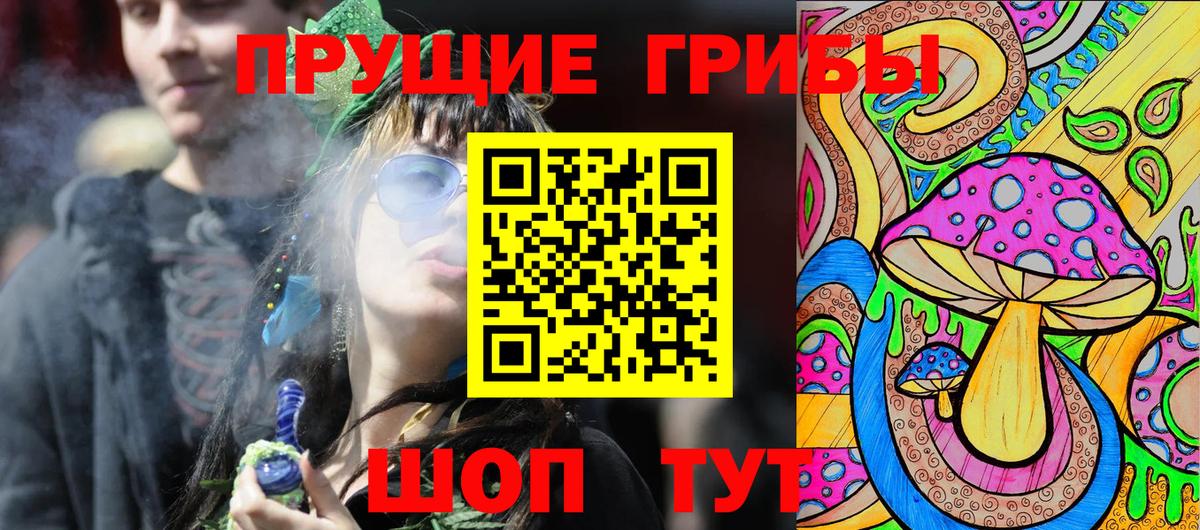 Псилоцибиновые грибы GOLDEN TEACHER Киров