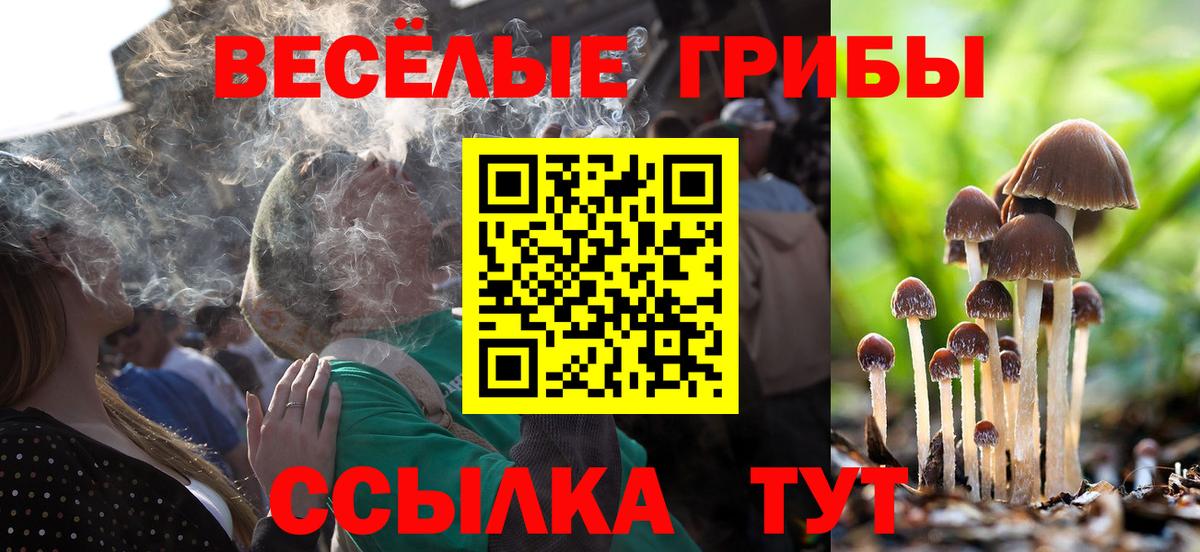 Галлюциногенные грибы Psilocybine cubensis  Галлюциногенные грибы прущие грибы  Вход с VPN  Киров 